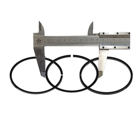 Кольца поршневые R195 (3 кольца) от интернет-магазина rossel.by