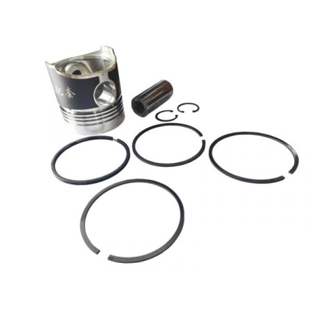 Комплект поршневой для ZS1100 от интернет-магазина rossel.by