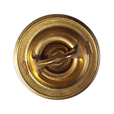 Термостат для 242/244 от интернет-магазина rossel.by