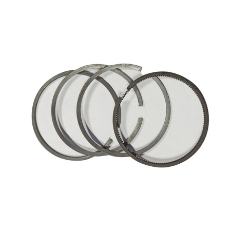 Кольца поршневые для двигателя S1100 от интернет-магазина rossel.by