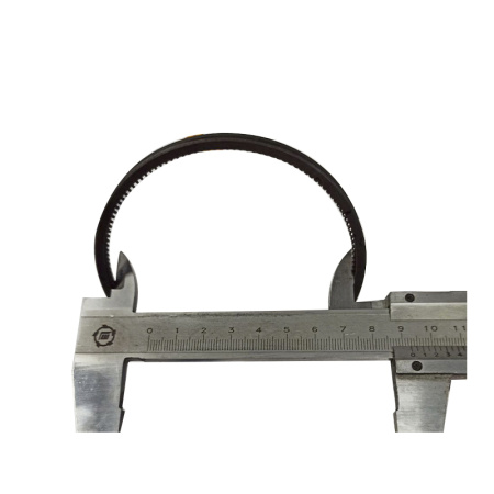 Кольца поршневые для двигателя S1100 от интернет-магазина rossel.by