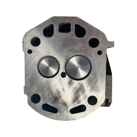 Головка блока цилиндра в сборе R195/195N (прямой впрыск) 11 отверстий от интернет-магазина rossel.by