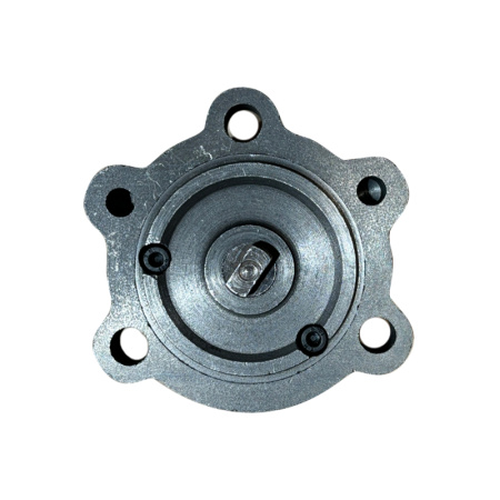 Насос масляный ZS1100 от интернет-магазина rossel.by