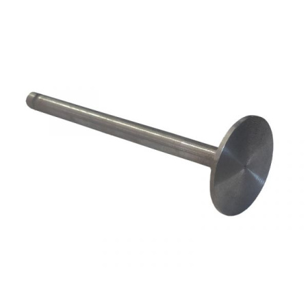 Клапан впускной 242/244 от интернет-магазина rossel.by